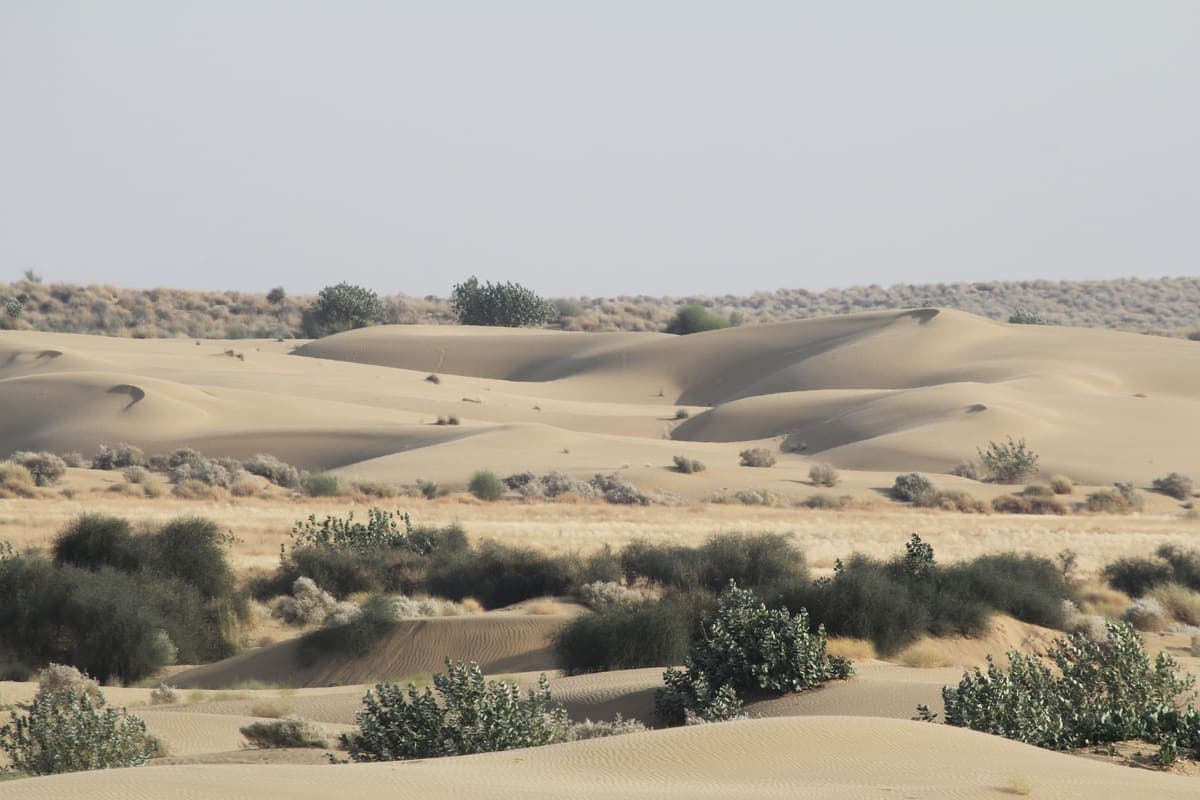 Sam sand dunes near Jaisalmer, Rajasthan